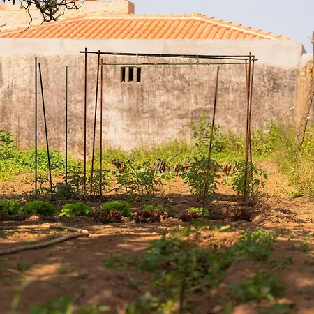 펜션 Casa Pitoresca - Refugio Esposende *