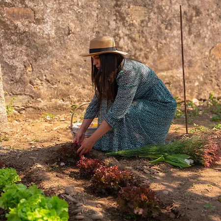 Casa Pitoresca - Refugio Esposende *