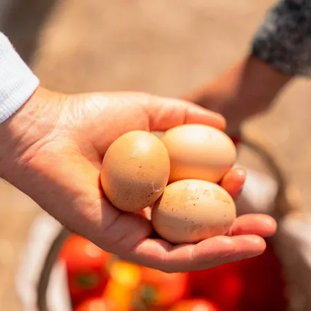 Casa Pitoresca - Refugio Esposende Ferienhaus