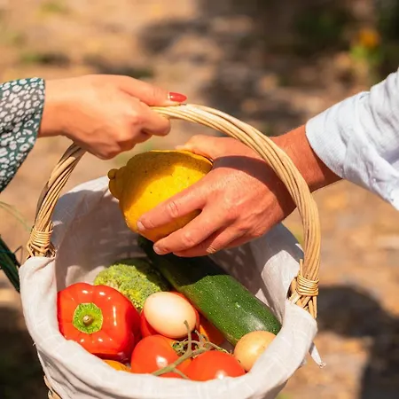 Дом отдыха Casa Pitoresca - Refugio Esposende Gemeses