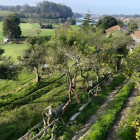 Casa Pitoresca - Refugio Esposende Prázdninový dům *