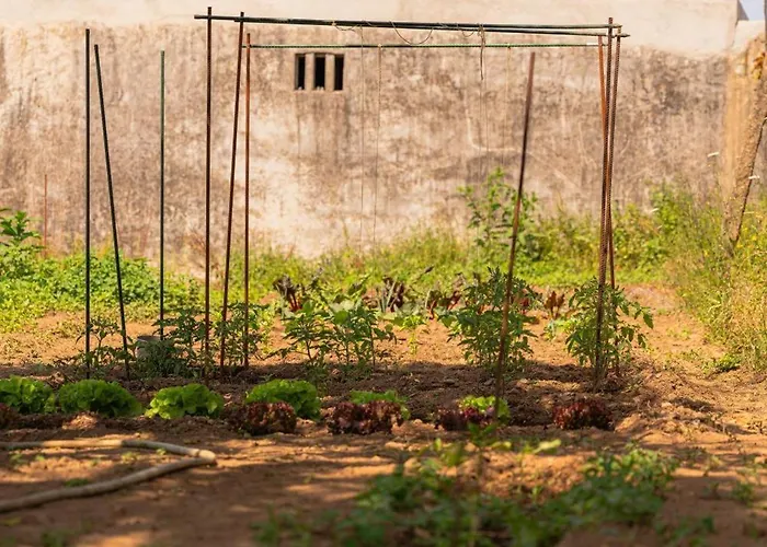 Semesterbostad Casa Pitoresca - Refugio Esposende *