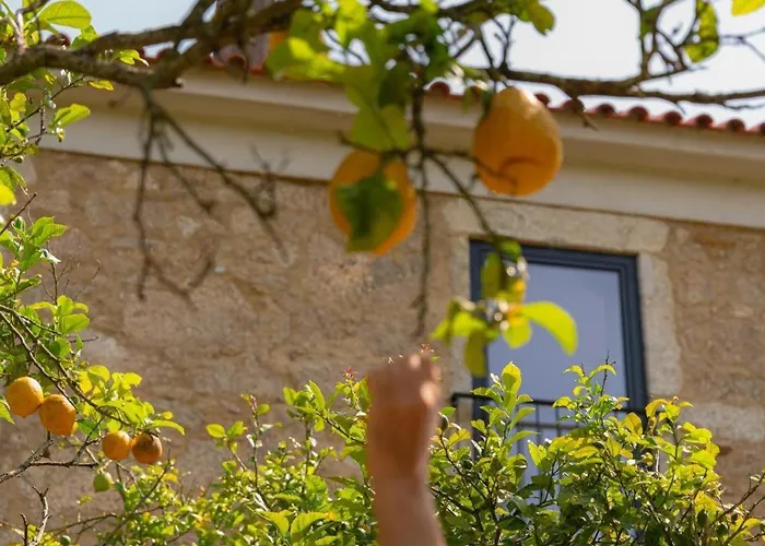 Casa Pitoresca - Refugio Esposende 브라가