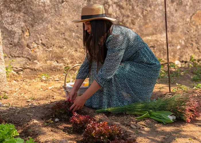 Casa Pitoresca - Refugio Esposende *