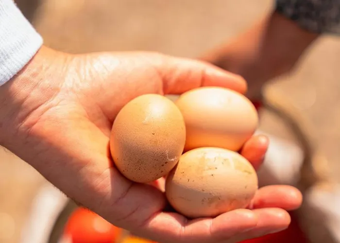 Casa Pitoresca - Refugio Esposende 펜션