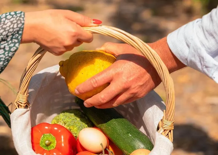 Semesterbostad Casa Pitoresca - Refugio Esposende Braga