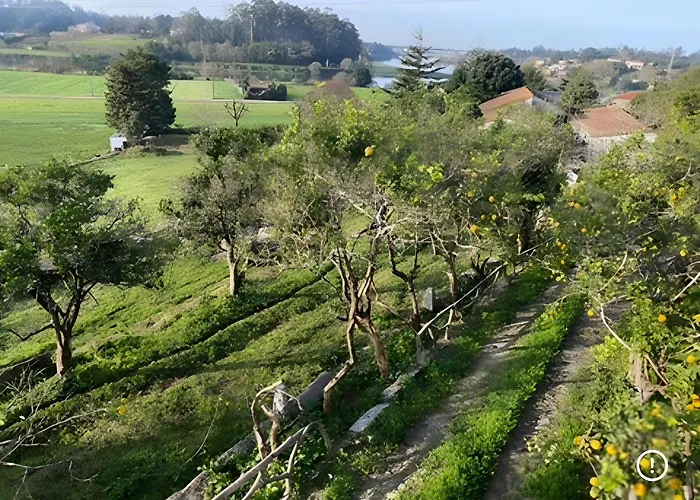 Casa Pitoresca - Refugio Esposende 브라가